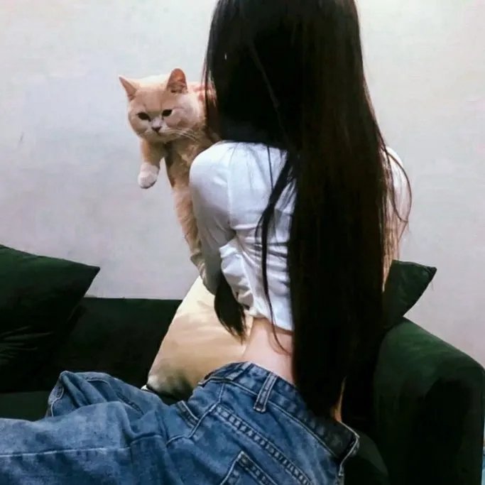 去见小洋葱的母亲 海报